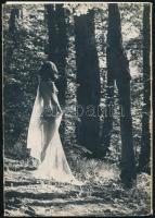 1984 Akt-mappa 1984. Vál. Győri Lajos. Bp., Ofotért. Számos aktkép papír mappában