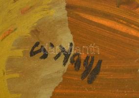 Cs. Nagy András (1927-2009): Ősz. Olaj, farost, jelzett, keretben, 60×90 cm