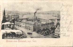 Zwiesel Brewery