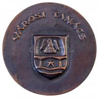 DN "Szolnok / Városi Tanács" kétoldalas, öntött Br plakett (98mm) T:2