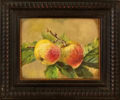 Jelzés nélkül: Almák. Olaj, vászon, üvegezett keretben, 19×24 cm