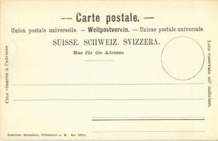 1903 Interlaken, Kursaal / spa, bath. Gebrüder Mühlstein No. 5572