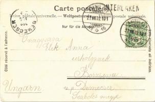 1902 Grindelwald, Gletscherbesteigung / glacier climbing, hikers. Photographie Gabler 6355. (EK)