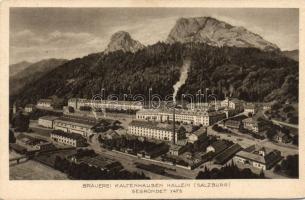Salzburg Brewery