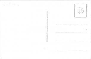 Bethlen, Beclean; Bethlen András kastély, katona / castle, soldier. photo