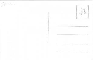 Bethlen, Beclean; Bethlen András kastély, katonák a kapuban / castle, soldiers in the gate. photo