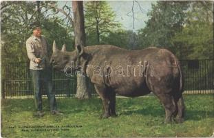 New York City, New York Zoological Park, Two-Horned African Rhinoceros (fl)