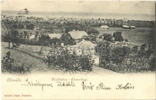 1900 Balatonalmádi, Fürdőtelep, nyaralók, villák. Schmidt Edgar kiadása (EK)