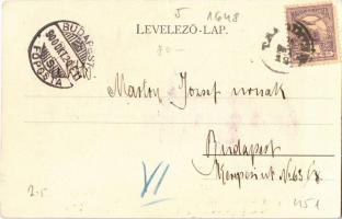 1900 Balatonalmádi, Fürdőtelep, nyaralók, villák. Schmidt Edgar kiadása (EK)