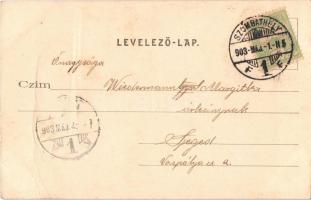 1903 Szombathely, Deák park, híd. Steiner Testvérek kiadása (fa)