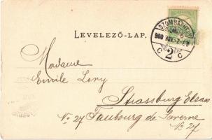 1900 Szombathely, Bagolyvár kastély. Kiadja Apfel H. C. (fl)