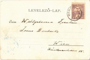 1900 Székesfehérvár, látkép északról, zsinagóga, templomok. Kiadja Klökner Péter 23. sz. (EK)