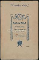 cca 1914 Katona karddal, kitüntetésekkel, keményhátú fotó Borsy Béla rákospalotai műterméből, 16,5×1...