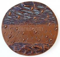 DN Csepp a tengerben egyoldalas, öntött Br plakett, peremen 3/1 jelzéssel (95mm) T:2 patina