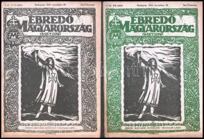 1919 Az Ébredő Magyarország c. hetilap első évfolyamának majdnem összes száma 2-12-ig
