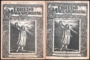 1919 Az Ébredő Magyarország c. hetilap első évfolyamának majdnem összes száma 2-12-ig