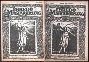 1919 Az Ébredő Magyarország c. hetilap első évfolyamának majdnem összes száma 2-12-ig