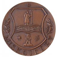 Varga Miklós (1928- ) DN "Miskolcért / Diósgyőri vár" Br emlékérem (70mm) T:1-