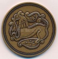 1996. "A Honfoglalás 1100. évfordulója" Br emlékérem (50mm) T:2