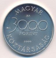 2000. 3000Ft Ag "Veszélyeztetett állatvilág - hód" kapszulában, tanúsítvánnyal T:BU Adamo ...
