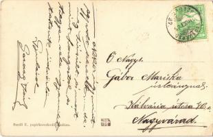 1910 Gyula, Régi vár. Szedő E. kiadása + "NAGYVÁRAD - SZEGED 27." vasúti mozgóposta bélyeg...