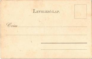 1901 Hatvan, Iskola, Honvéd szobor, üzletek (fl)