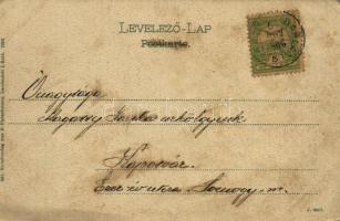 1904 Tátra, Magas Tátra, Vysoké Tatry; Zöld-tó és Karbunkulus-torony. F. Pietschmann 931. / Grüner S...