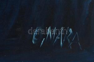 Oláh Mara (1945-): Éjjeli tó. Olaj, farost, jelzett, festék hibákkal, keretben, 36×57 cm