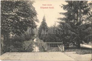 Előpatak, Valcele; Patak részlet / creek (kis sarokhiány / small corner shortage)