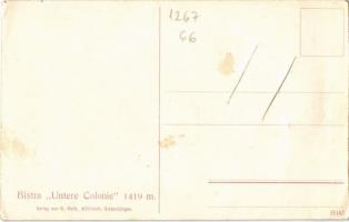1915 Bisztratelep, Vartótelek, Tau Bistra; Bistra "Untere Colonie" 1419 m. Verlag von H. H...