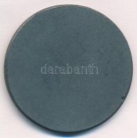 1935. "Bethlen Gábor Polgári Lövész Egyesület" hadifém sport emlékérem (41mm) T:1-