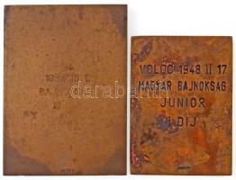 Berán Lajos (1882-1943) 1933. "Magyar Si Szövetség" Br egyoldalas sport díjplakett "L...