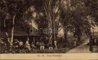 Malaysian folklore, fruit plantation