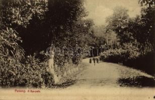 Penang, A bye-path