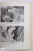 Szalontai Barnabás: Kerámia a nyírbátori paraszti háztartásban. Közlemények a debreceni Kossuth Lajo...