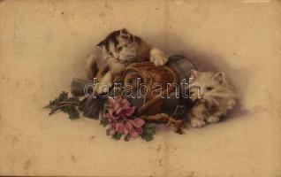 Cats with military cap. M. Munk Nr. 1109. (fl)