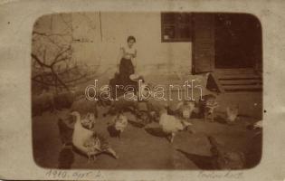 1910 Lippa, Lipova; Baromfiudvar, tyúkokkal és malacokkal / barton, woman feeding chickens and pigs. photo (EK)