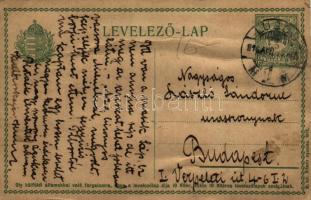 1916 Lugos, Lugoj; családi csoportkép a kertben katonával / family group photo in the garden with so...