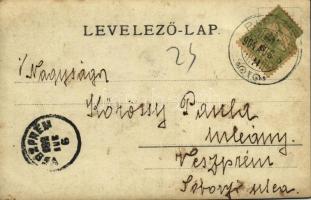 1904 Papkeszi, hölgyek csoportképe. photo (EK)