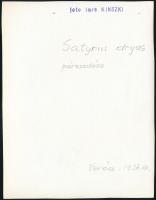 1937. július, Kinszki Imre (1901-1945) budapesti fotóművész hagyatékából, pecséttel jelzett vintage ...