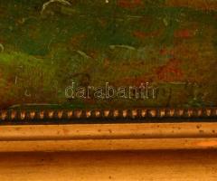 Bosznay jelzéssel: Falusi udvar szárítóval. Olaj, karton, keretben, 23×32 cm