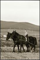 cca 1940 Matheisel József (1908-1961) rozsnyóbányai fotóművész hagyatékából 9 db vintage negatív (re...