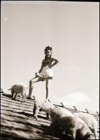 cca 1940 Matheisel József (1908-1961) rozsnyóbányai fotóművész hagyatékából 9 db vintage negatív (re...