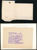 1938-ban és 1974-ben készült felvételek Velencén és Gárdonyban, 3 db feliratozott, vintage fotó, 6x8...