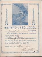 1913 Szabadúszó levél a Császár fürdő női uszodájából beszakadással 22,5x30 cm