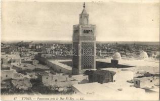 1912 Tunis, Panorama pris de Dar-El-Bey / general view, mosque