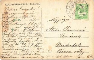 1914 Balatonaliga (Balatonvilágos), Kolossváry villa. Stausz S. fényképész felvétele. photo (EK)