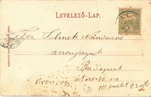 1904 Balatonlelle, Pávits, Millassin és Jilek villák. Kiadja Wollák József, Balázsovich Gyula fényké...