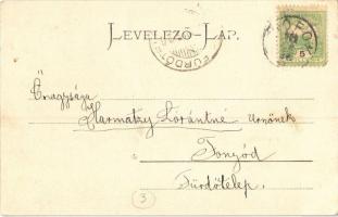 1904 Siófok, Vasúti korzó, Magyar Korona Szálloda. Kiadja Salamon Adolf