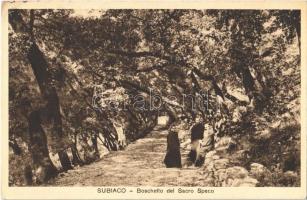 1950 Subiaco, Boschetto del Sacro Speco / monastery, grove (EK)